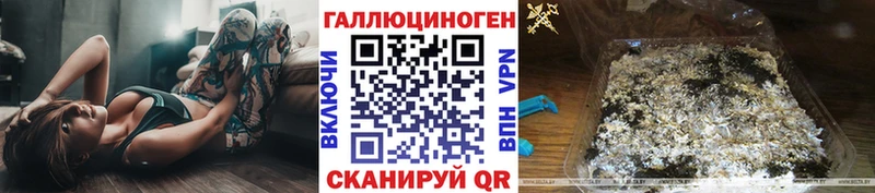 Псилоцибиновые грибы Cubensis  Кукмор 